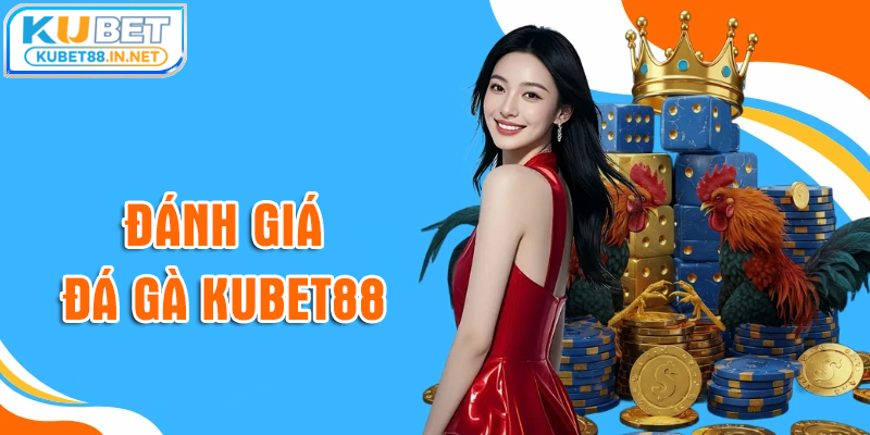 Dân chơi đánh giá gì về đá gà Kubet88